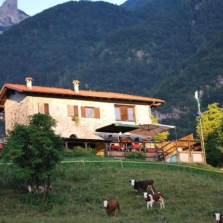 Rifugio Malga Grasia Caprizi Ngoại thất bức ảnh