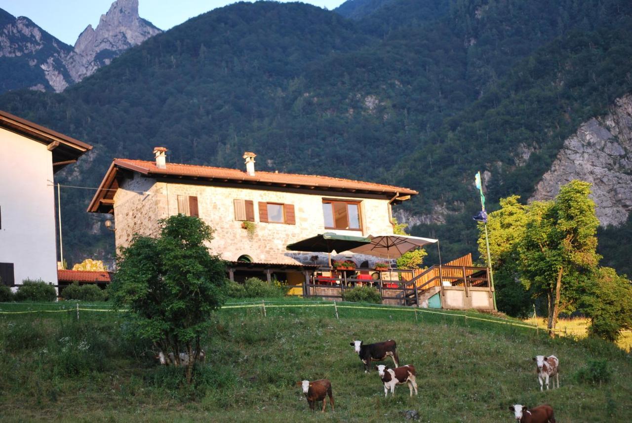 Rifugio Malga Grasia Caprizi Ngoại thất bức ảnh