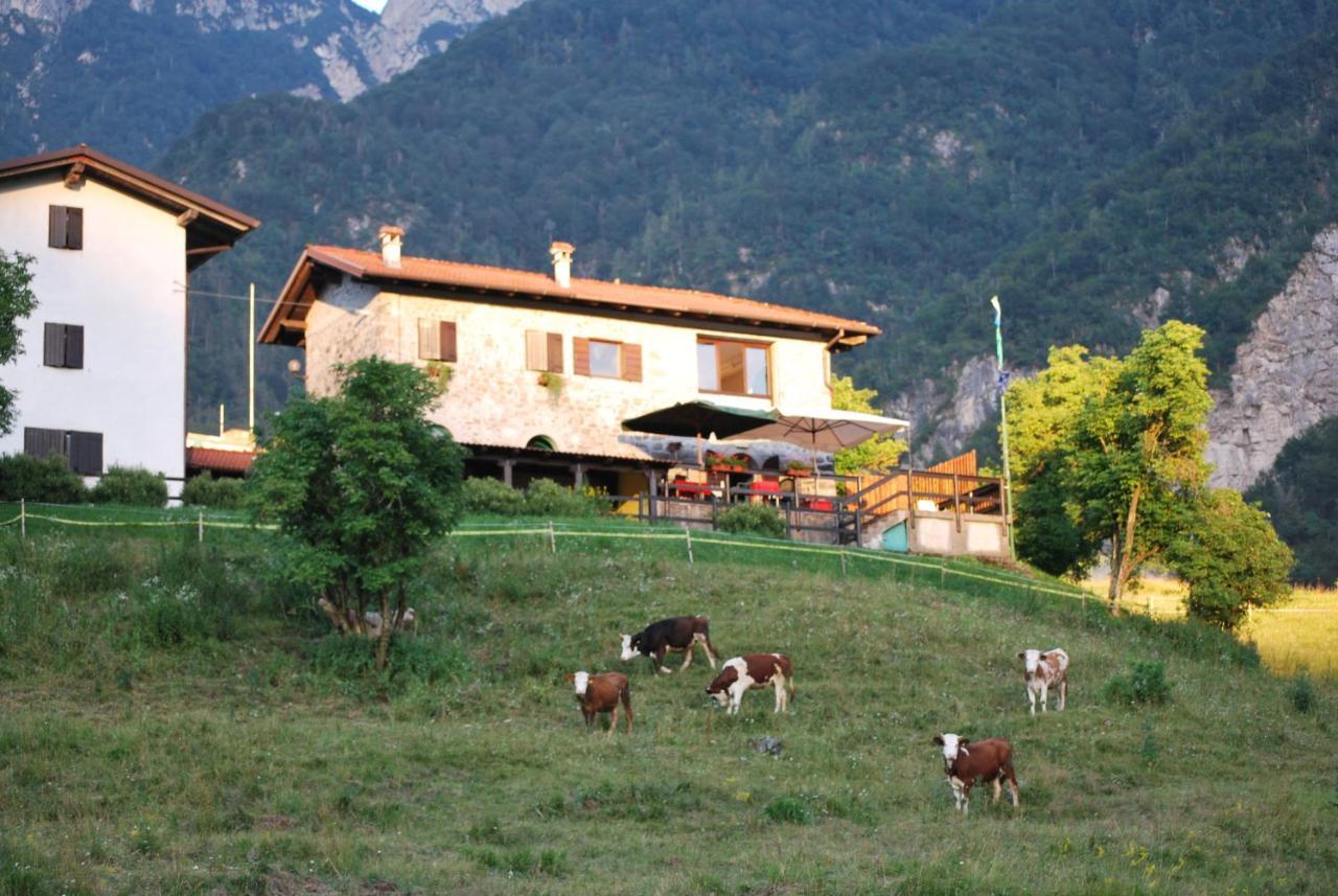 Rifugio Malga Grasia Caprizi Ngoại thất bức ảnh