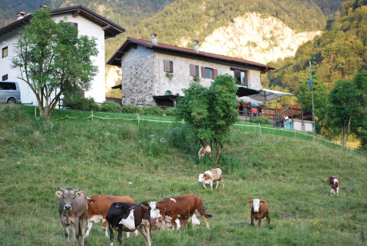 Rifugio Malga Grasia Caprizi Ngoại thất bức ảnh