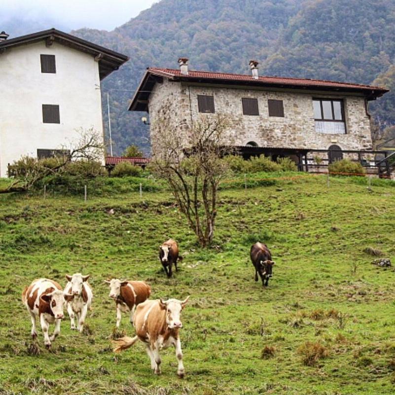 Rifugio Malga Grasia Caprizi Ngoại thất bức ảnh