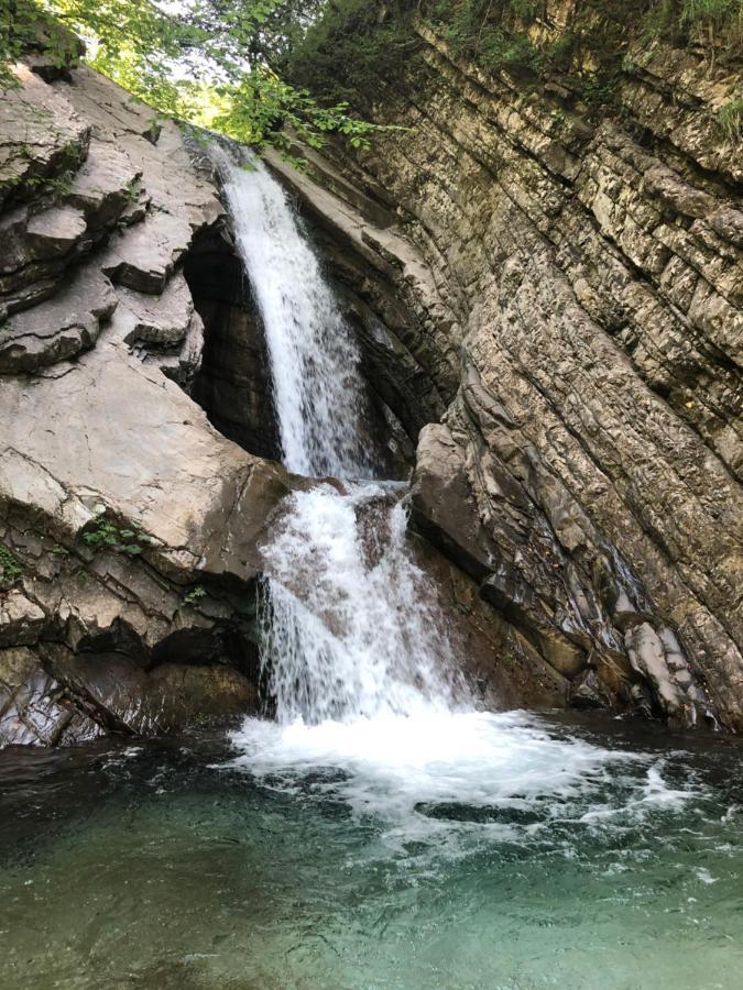 Rifugio Malga Grasia Caprizi Ngoại thất bức ảnh